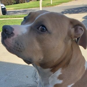 Meet your Posher, Tim